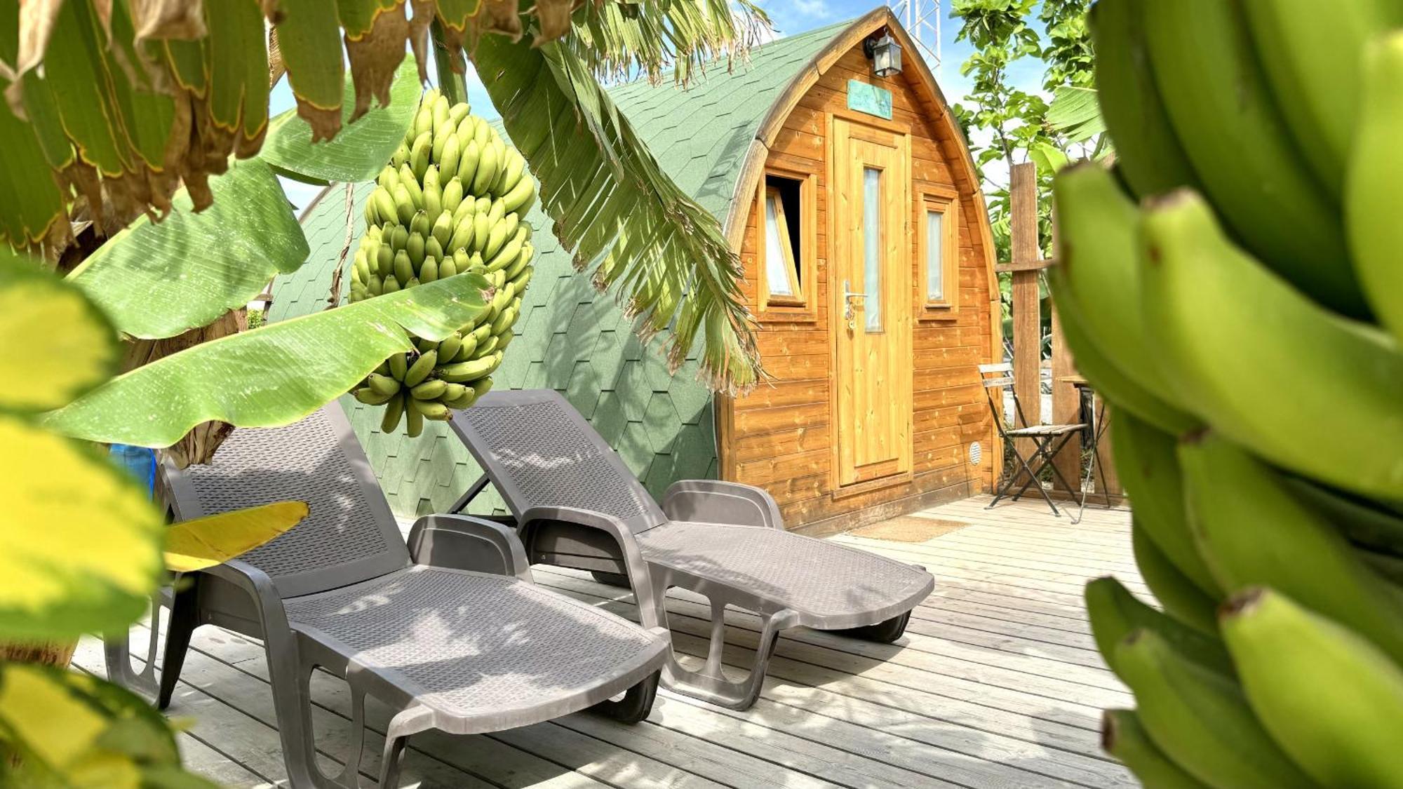 Lykke Suite Spa Sauna Piscina Y Jardin Buzanada Esterno foto